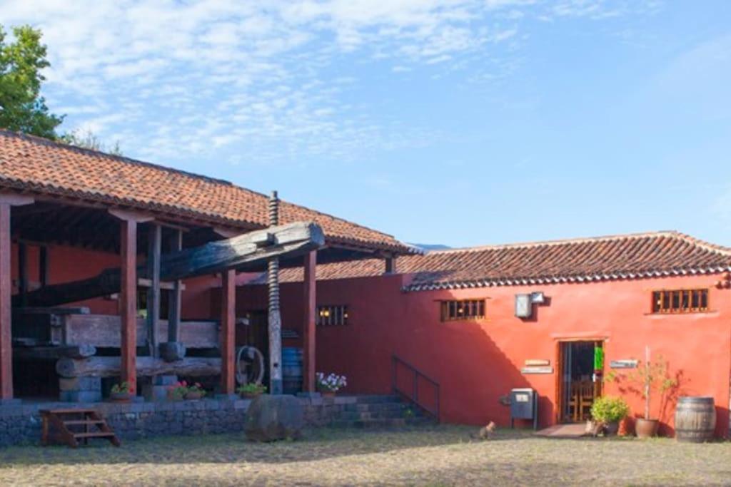 Casa El Sentir Διαμέρισμα Sauzal Εξωτερικό φωτογραφία