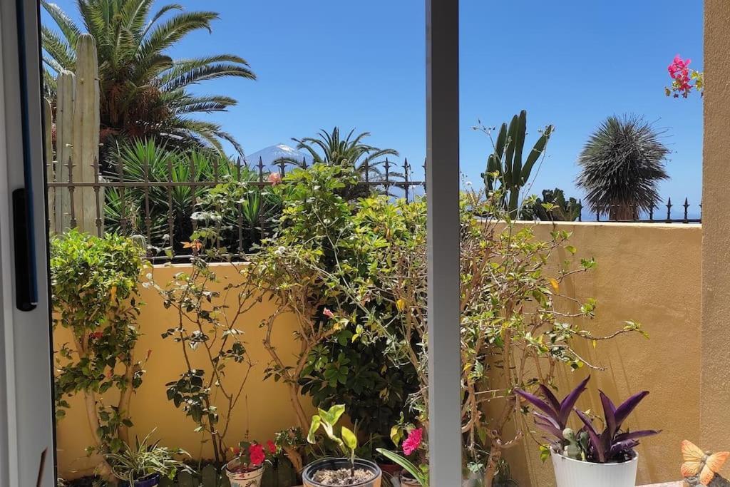 Casa El Sentir Διαμέρισμα Sauzal Εξωτερικό φωτογραφία